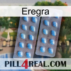 Eregra viagra4